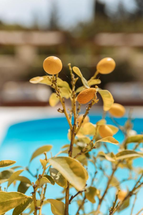 Kis Residence - Adults Only Kneza Buitenkant foto